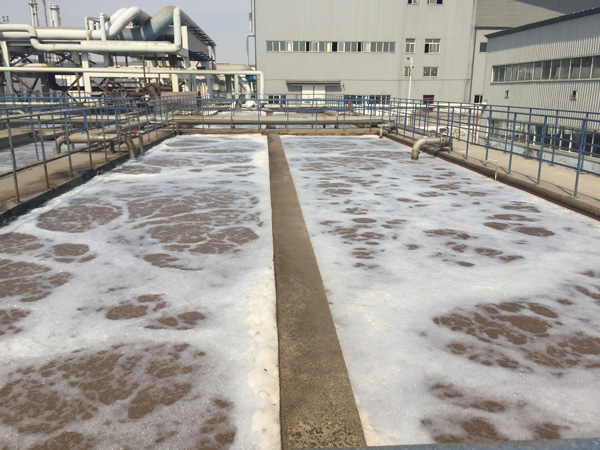 除磷劑是什么藥劑？水里的總磷來自哪里？